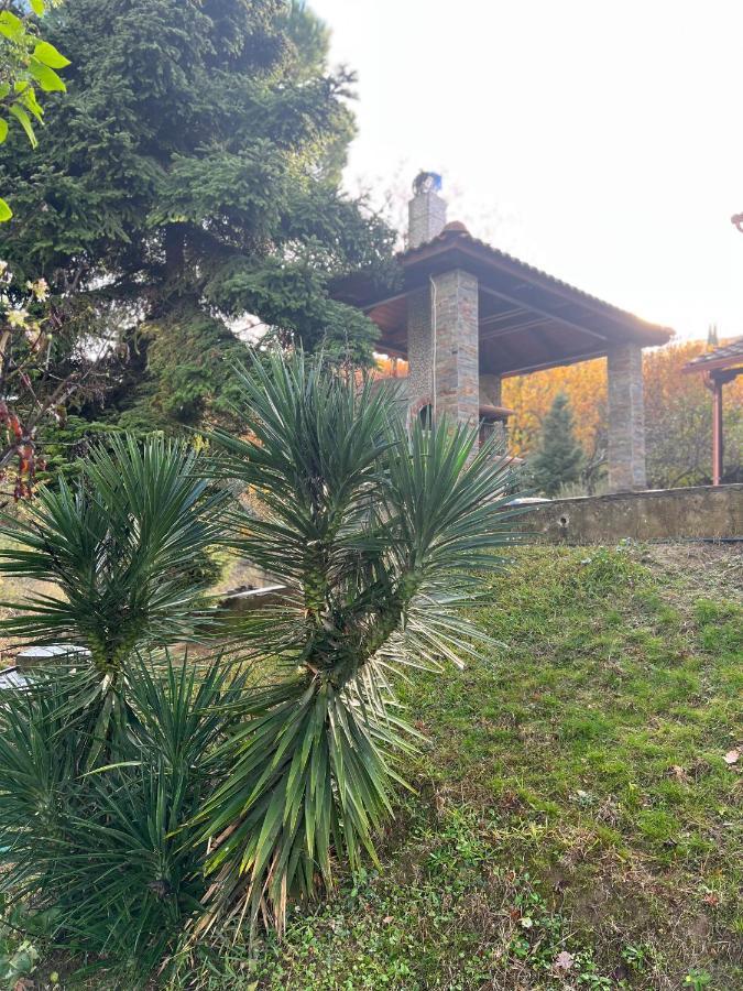 House In The Woods Apartment Kardítsa Екстериор снимка