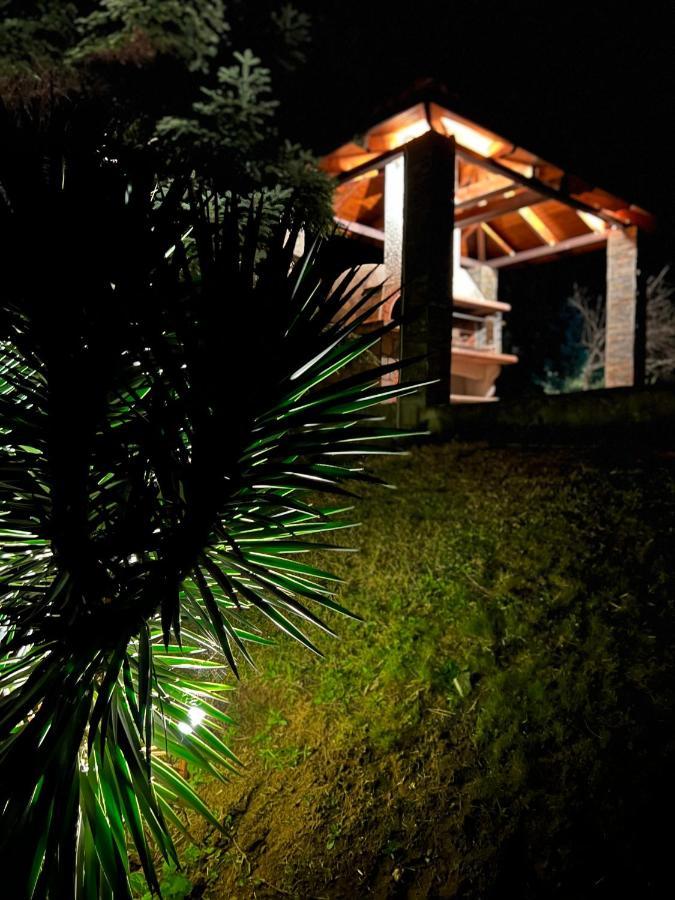 House In The Woods Apartment Kardítsa Екстериор снимка